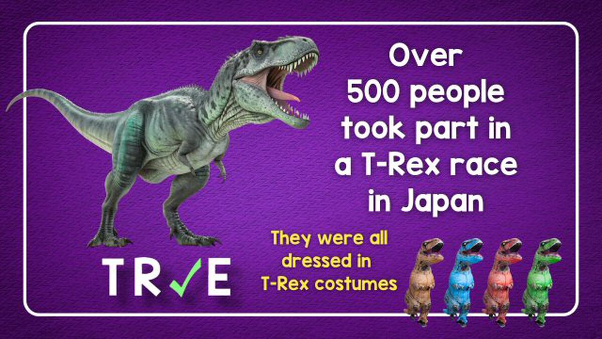 True or False 2025: Famous Stuff and Odd Events! image number null